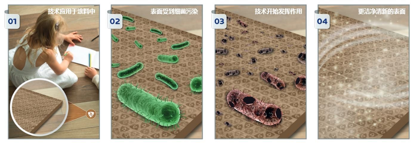 妙抗保®LapisShield技术工作原理是使用吡啶硫酮钠来抑制细菌在经处理表面上的生长繁殖