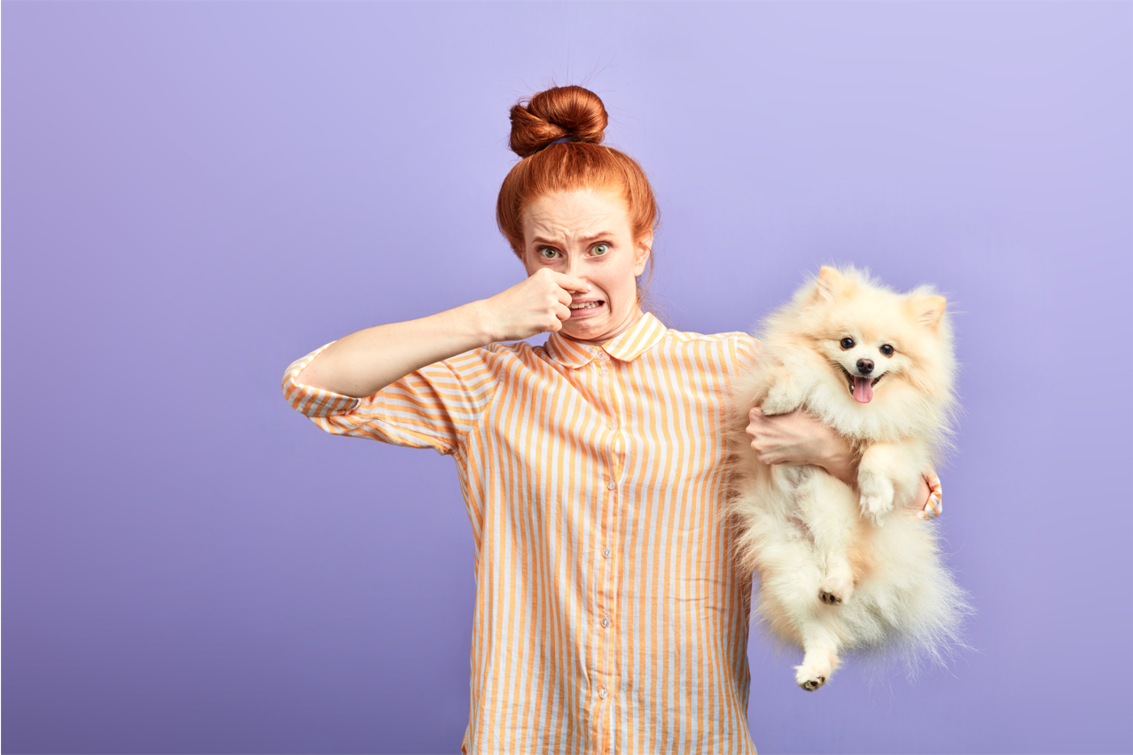 Pet Odor small size