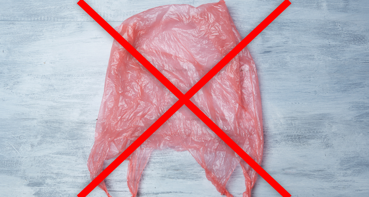 Plastic bag ban centered image