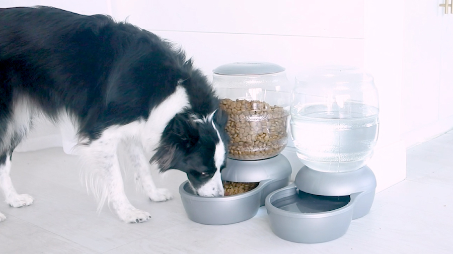 Mbns23 Microban Partner Petmate Antimicrobial Pet feeder