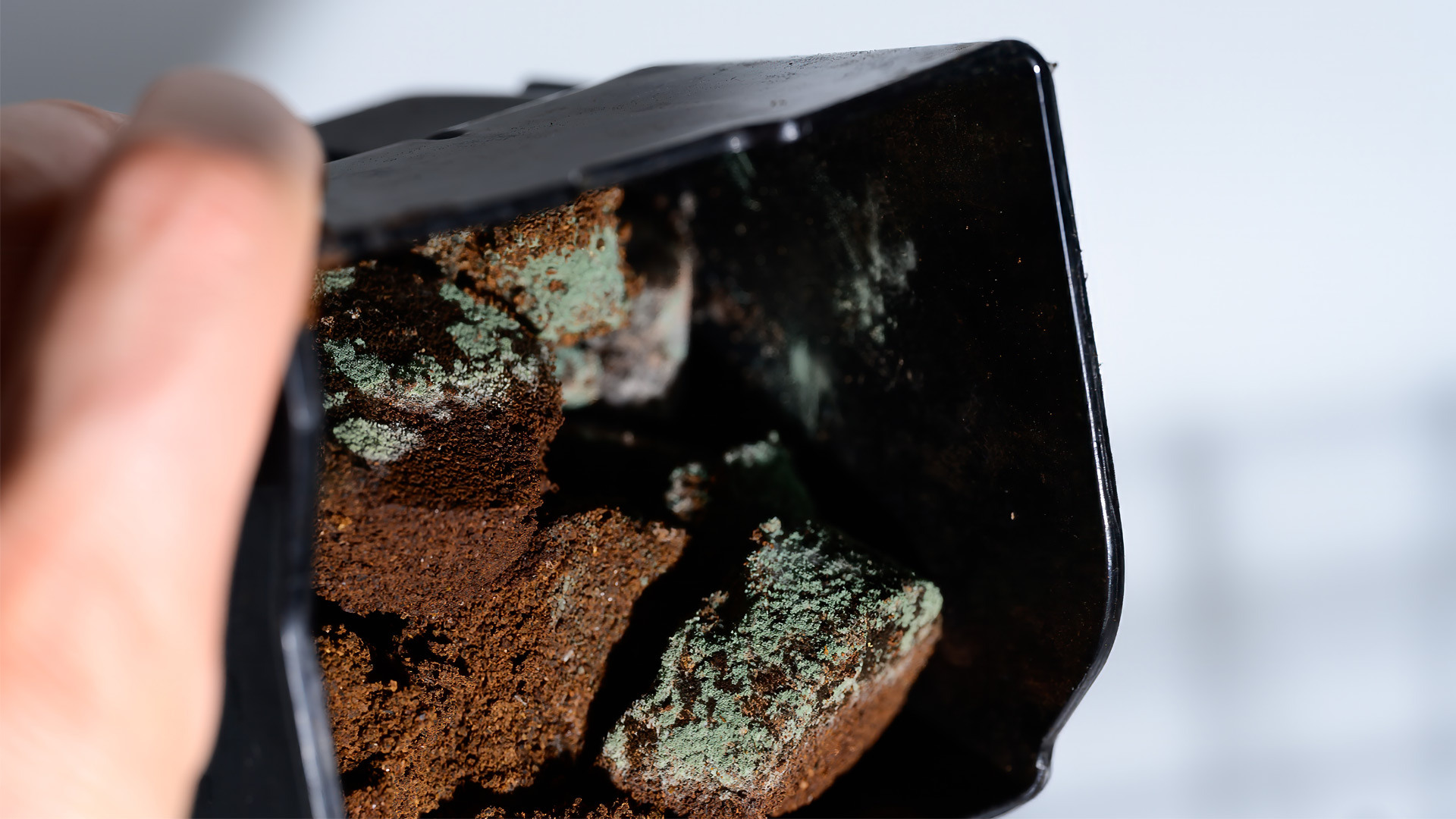 Mbns24 Microban CHN Coffee Mold Issue